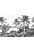 fototapet  landskab med palmer sort og hvidt